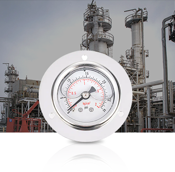 Petrochemický průmysl Pressure Gauges